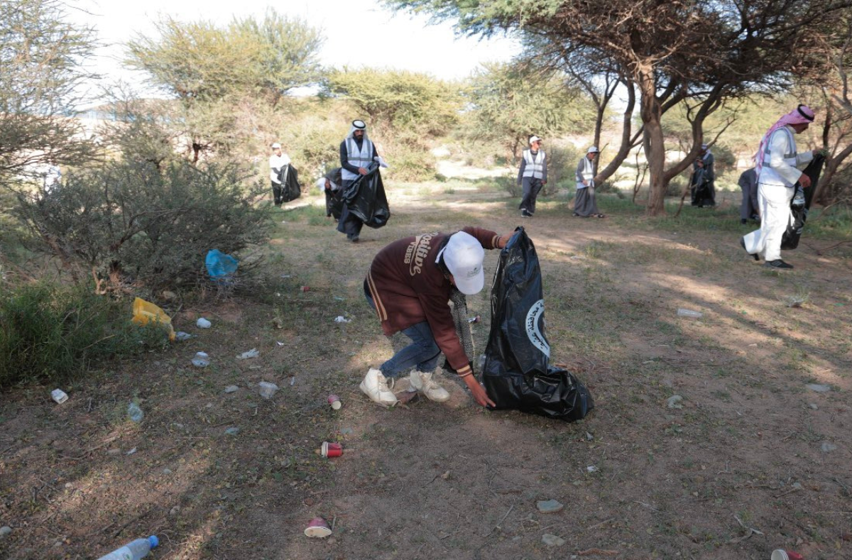 مشروع نظافة غابة